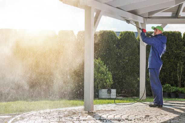 Best Driveway Pressure Washing  in Dade City North, FL