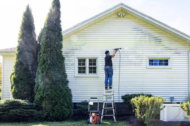 Best Sidewalk and Walkway Cleaning  in Dade City North, FL